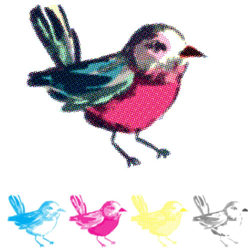 CMYK Bird Stamps / Sellos de Polímero para usarse en Capas Sellos We R Memory Keepers