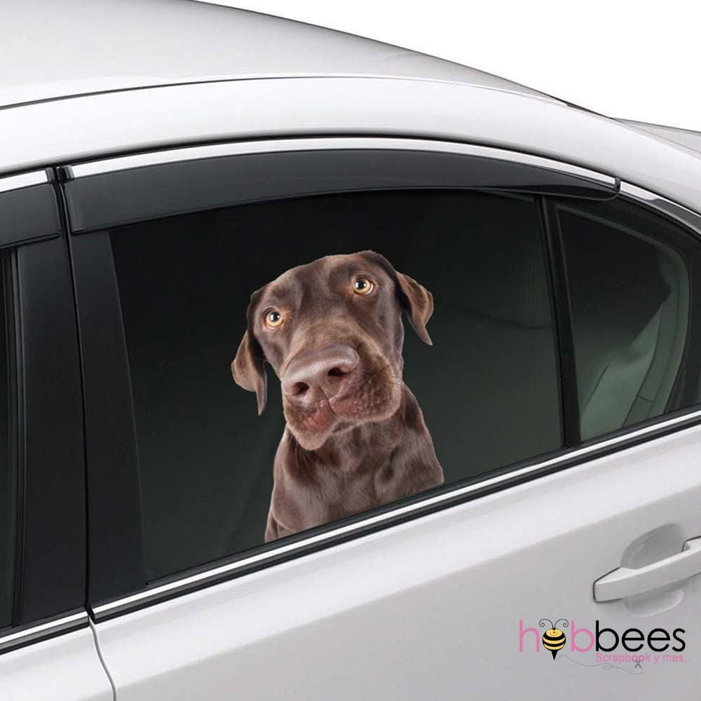 Joy Riders Lab Window Cling / Cling Adherible para Ventanas Labrador Stickers Colorbok