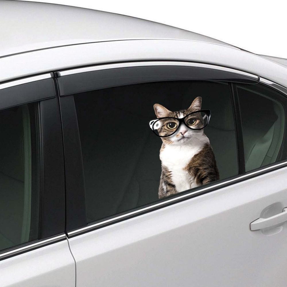 Joy Riders Cat Glasses Window Cling / Cling Adherible para Ventanas Gato Lentes Stickers Colorbok