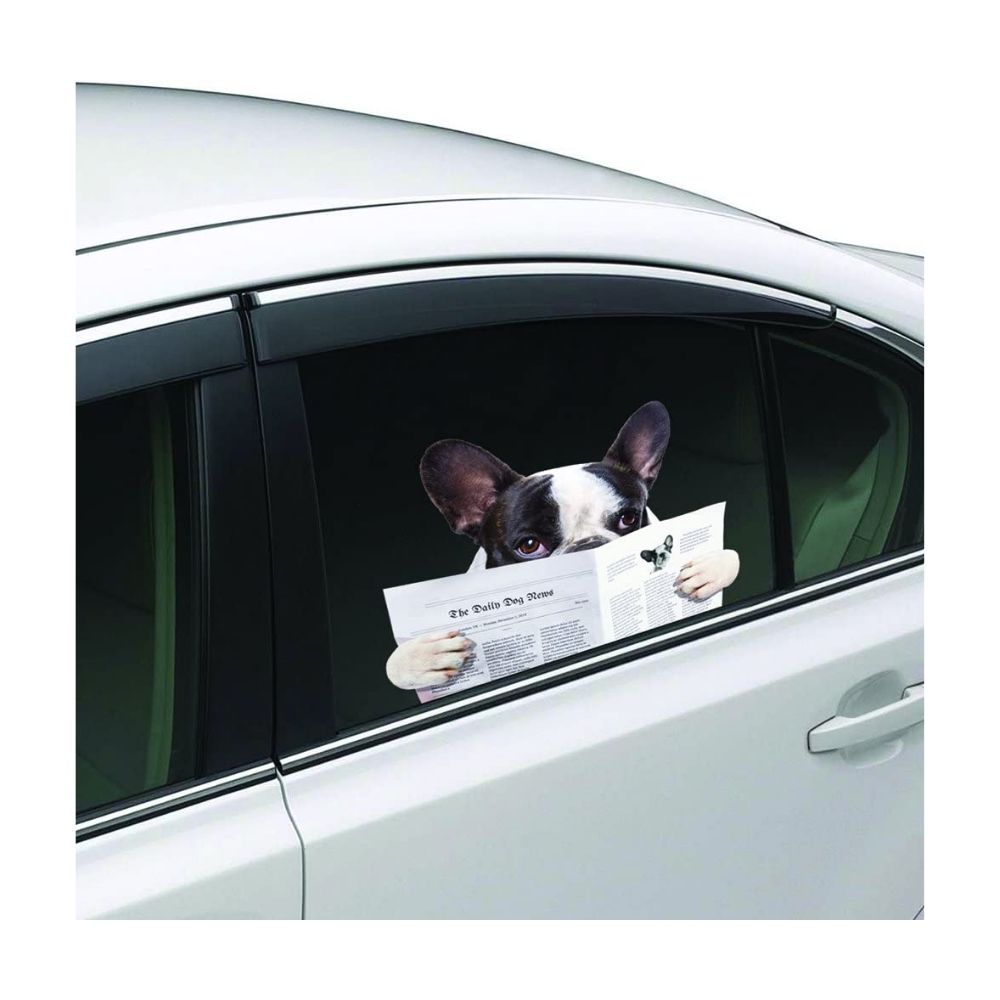 Joy Riders Dog Reading Window Cling / Cling Adherible  para Ventanas Perro Leyendo Stickers Colorbok