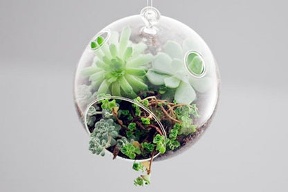 Mini Blown Glass Hanging Terrarium / Terrario Colgante Adornos / Embellishments Hanging Terrarium