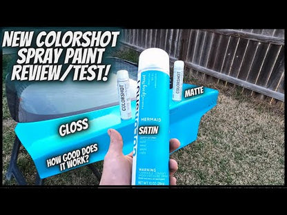 ColorShot Aerosol Spray Sealer Matte / Sellador en Aerosol Mate